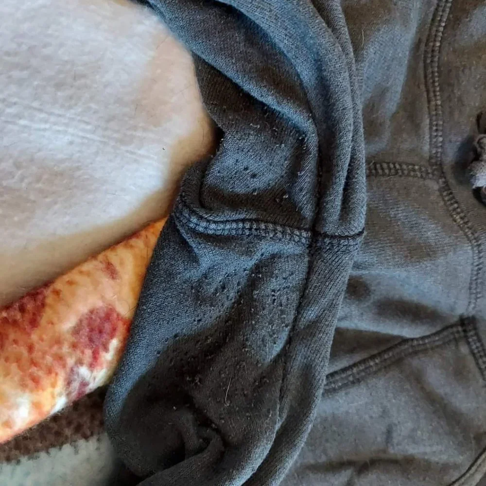 Aviator Nation gray moto sweatpants - Large Women's - Picture 4 of 5